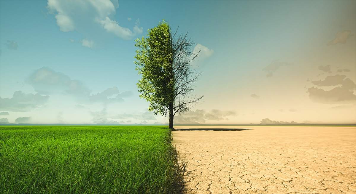 cambio-climatico-1200.jpg
