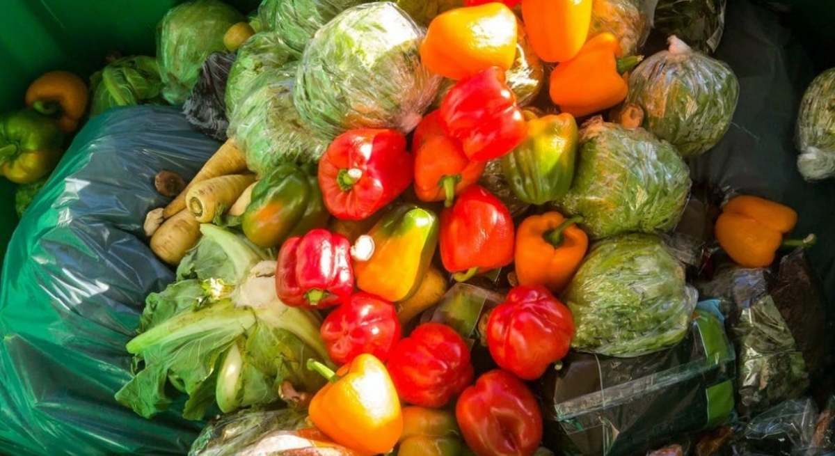 La UE regula cómo reducir el desperdicio alimentario / EP