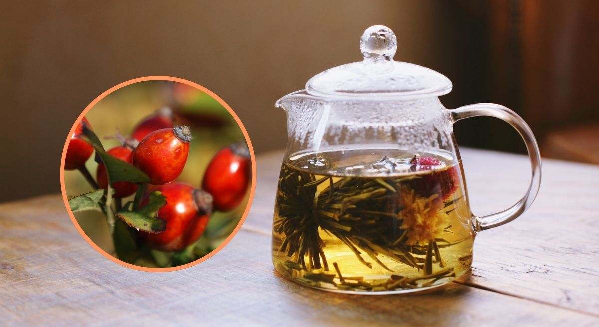Infusión de rosa mosqueta