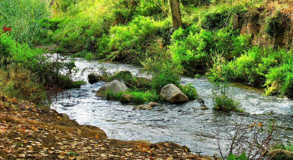 Paisaje verde junto al río Tuejar en Chelva