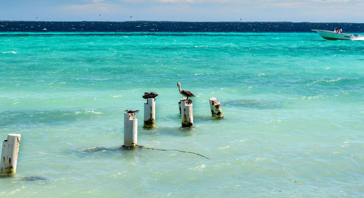 caribe-venezuela-istock.jpg