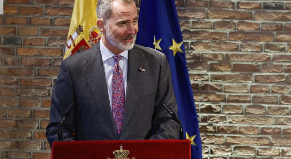 felipe-discurso-paises-bajos---.jpeg