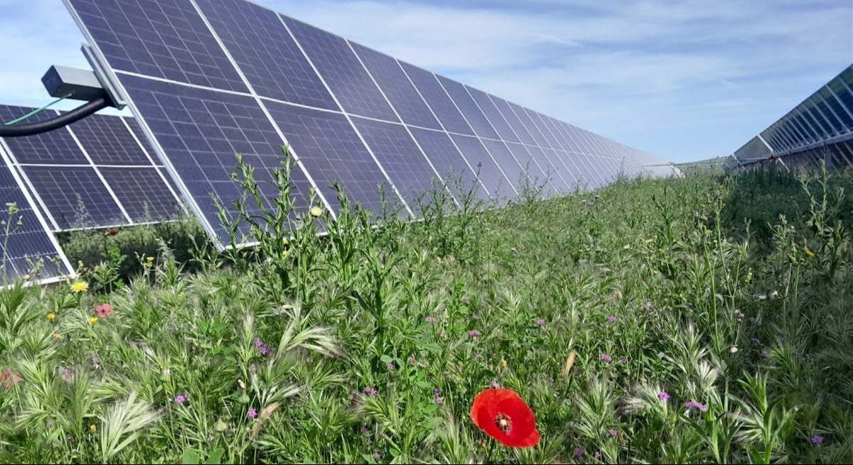 Planta fotovoltaica Guadacano de Ignis en Málaga.