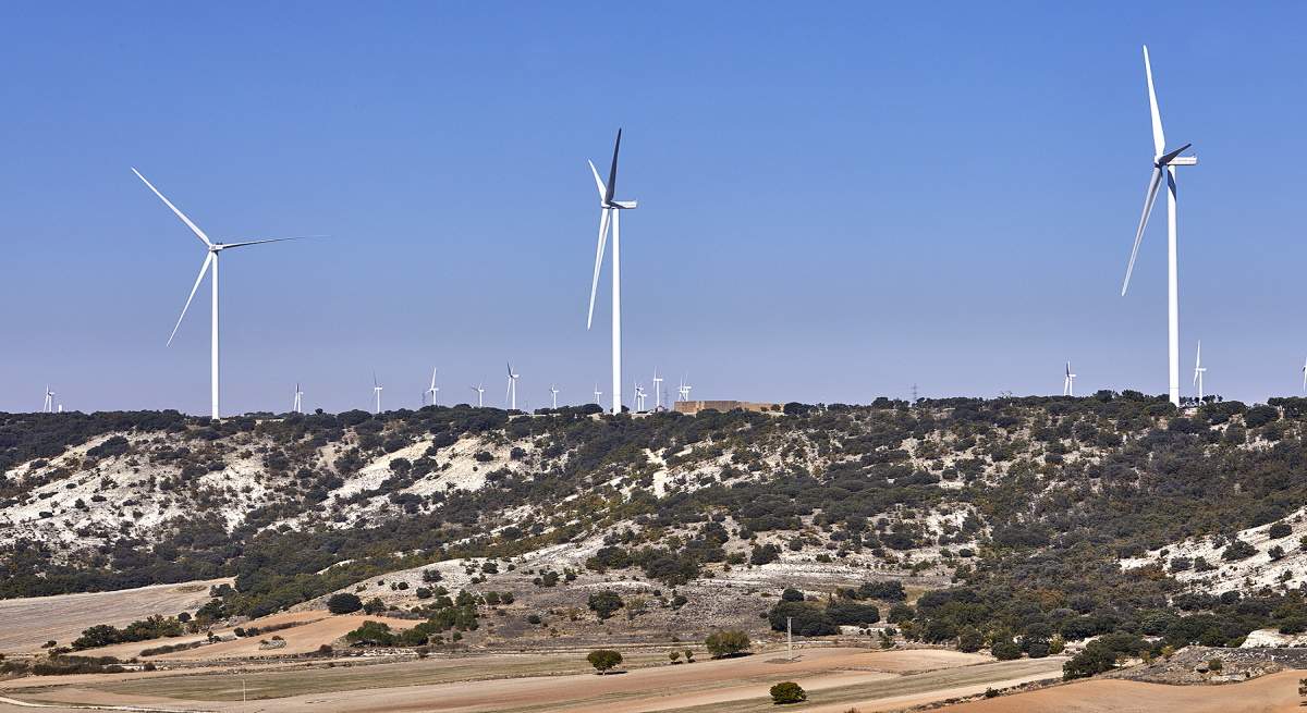 20211015_-Celada-Fusion-046.jpg
