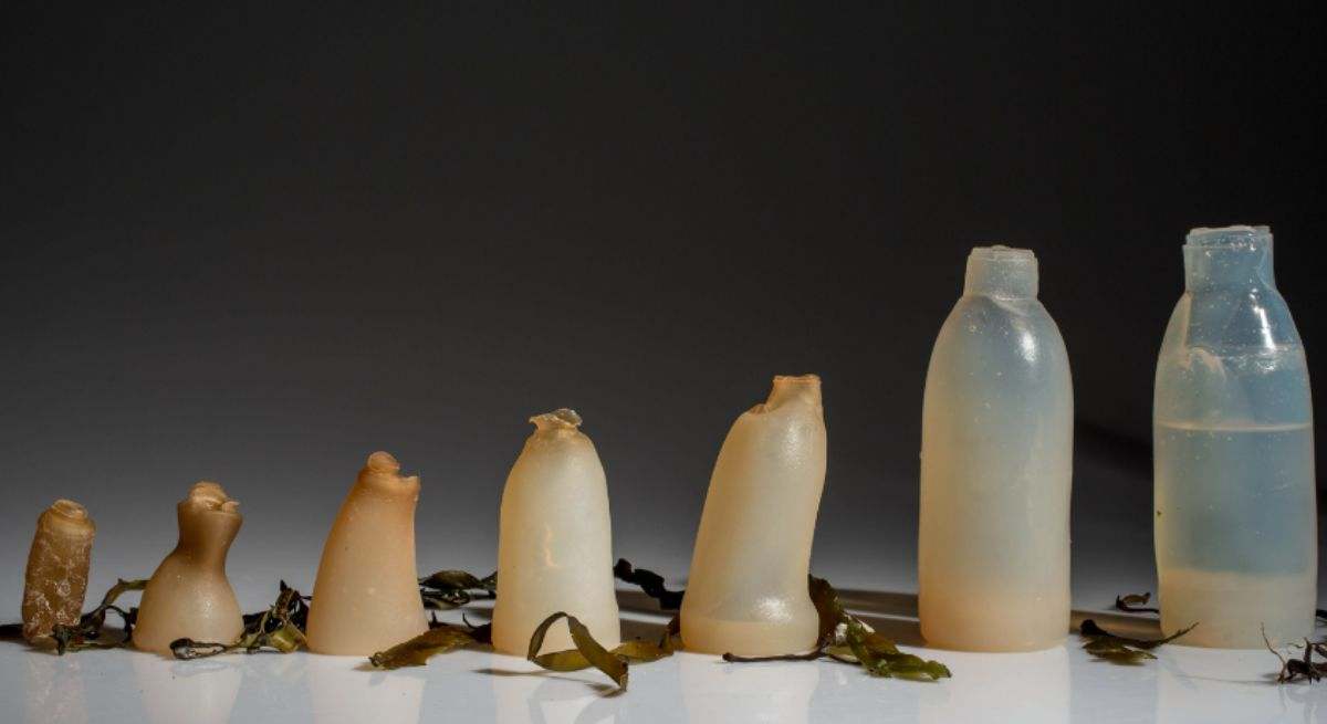 botella-desintegra-agari-1200.jpg