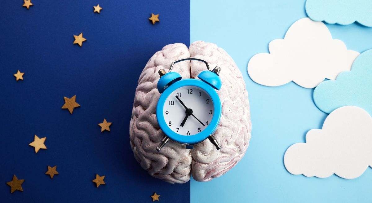 Reloj circadiano
