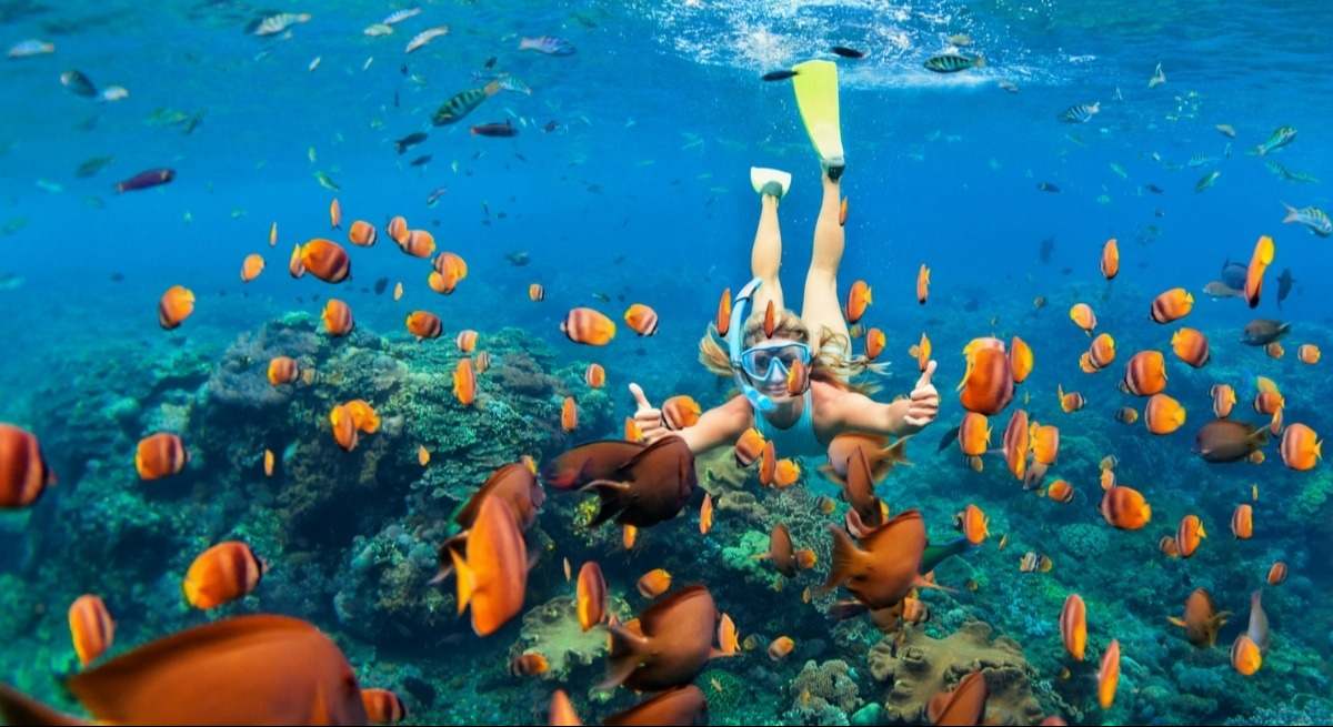 buceo-istock
