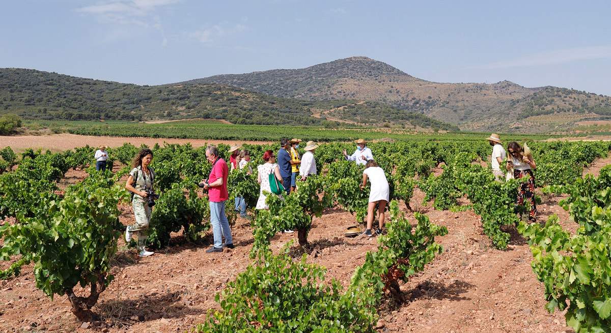 bodegas aragonesas