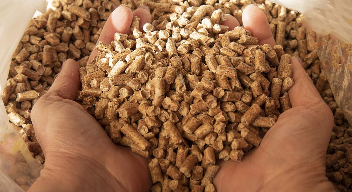 pellets.jpg