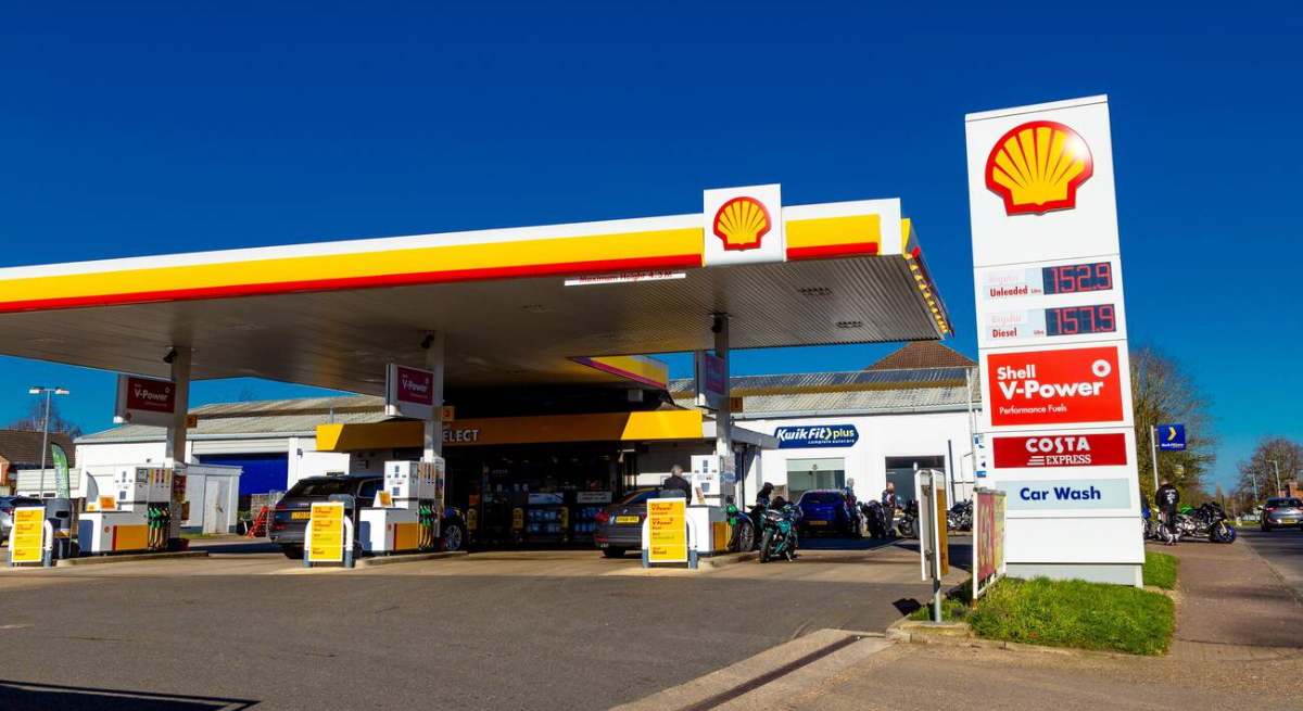 shell.jpg