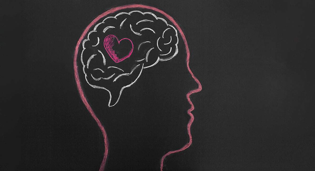 brainloveweb-1.jpg