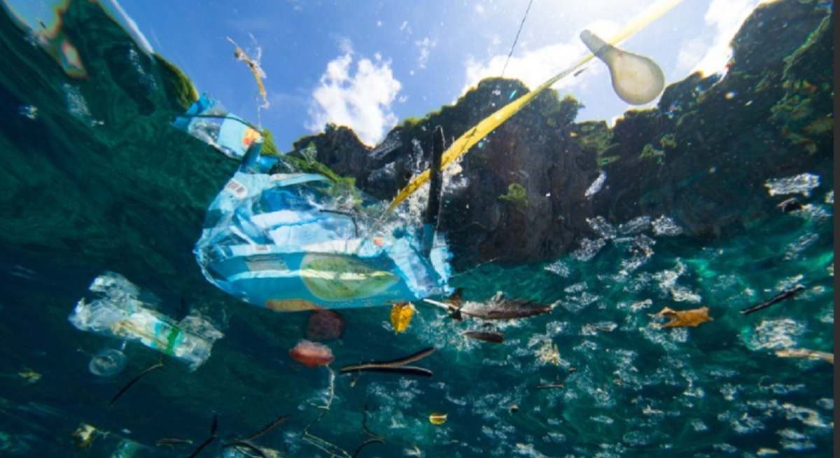 Contaminación por plásticos en el mar