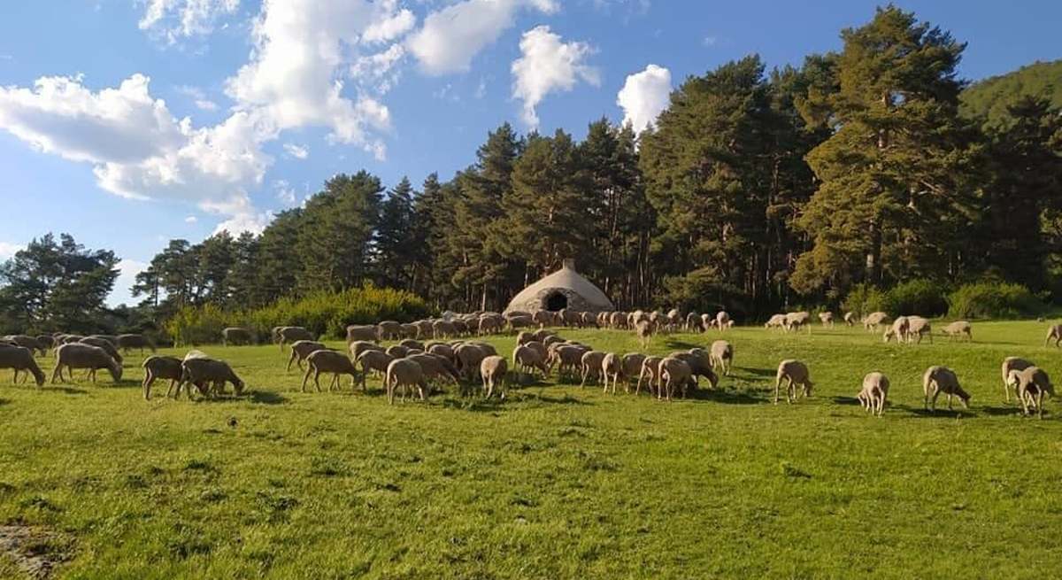 agro teruel