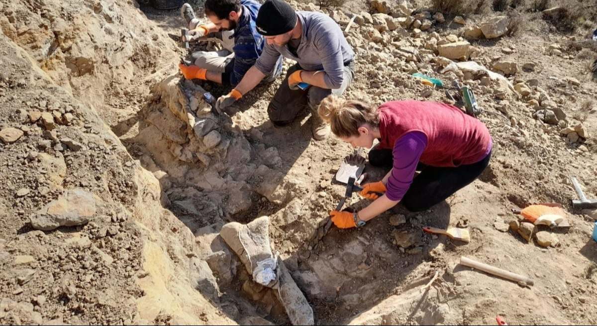excavacion-teruel-dinosaurios