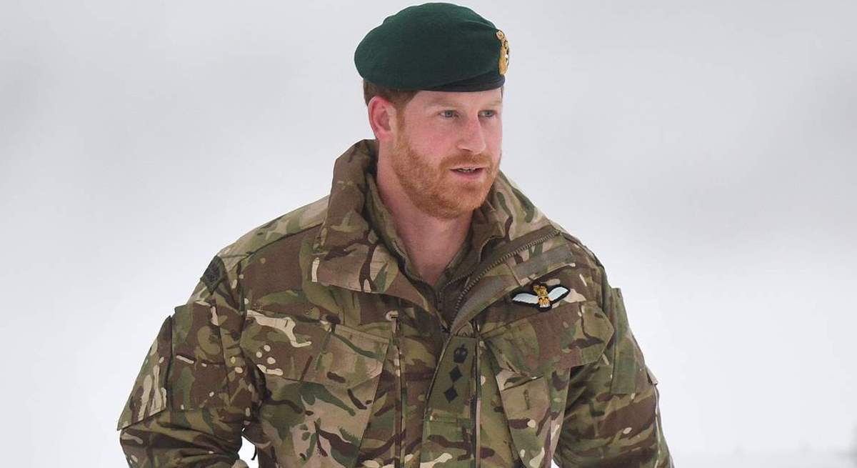 harry-1200.jpg