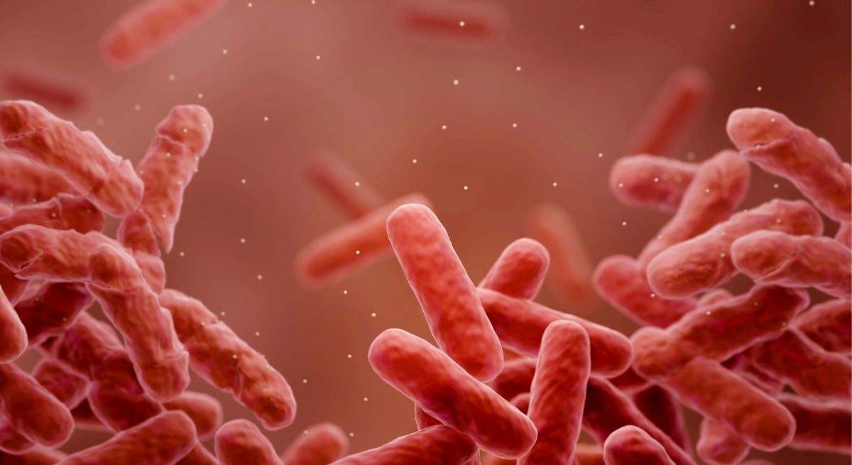 Casi 5 millones de personas mueren por resistencias antimicrobianas al año.