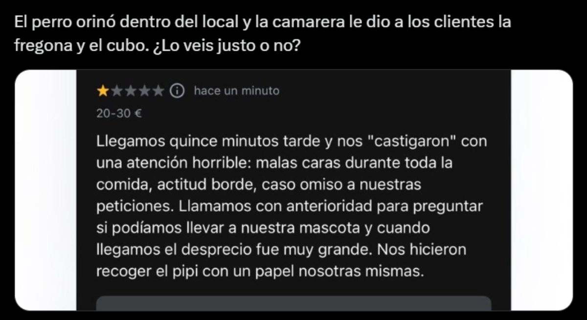 Un perro orina dentro del local, la camarera obliga al dueño a limpiarlo y las redes no dan crédito: "Se empeñan en..."
