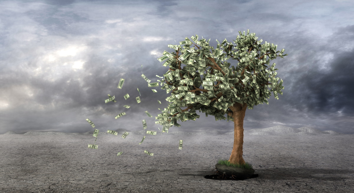 arbol-ok-dinero-billetes-caen-dreams.jpg
