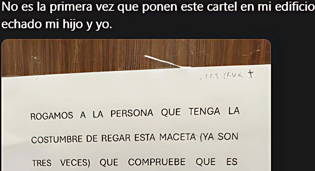 El aviso que ha aparecido en una comunidad de vecinos para dejar de regar una planta artificial: "No es la primera vez que ponen este cartel en mi edificio"