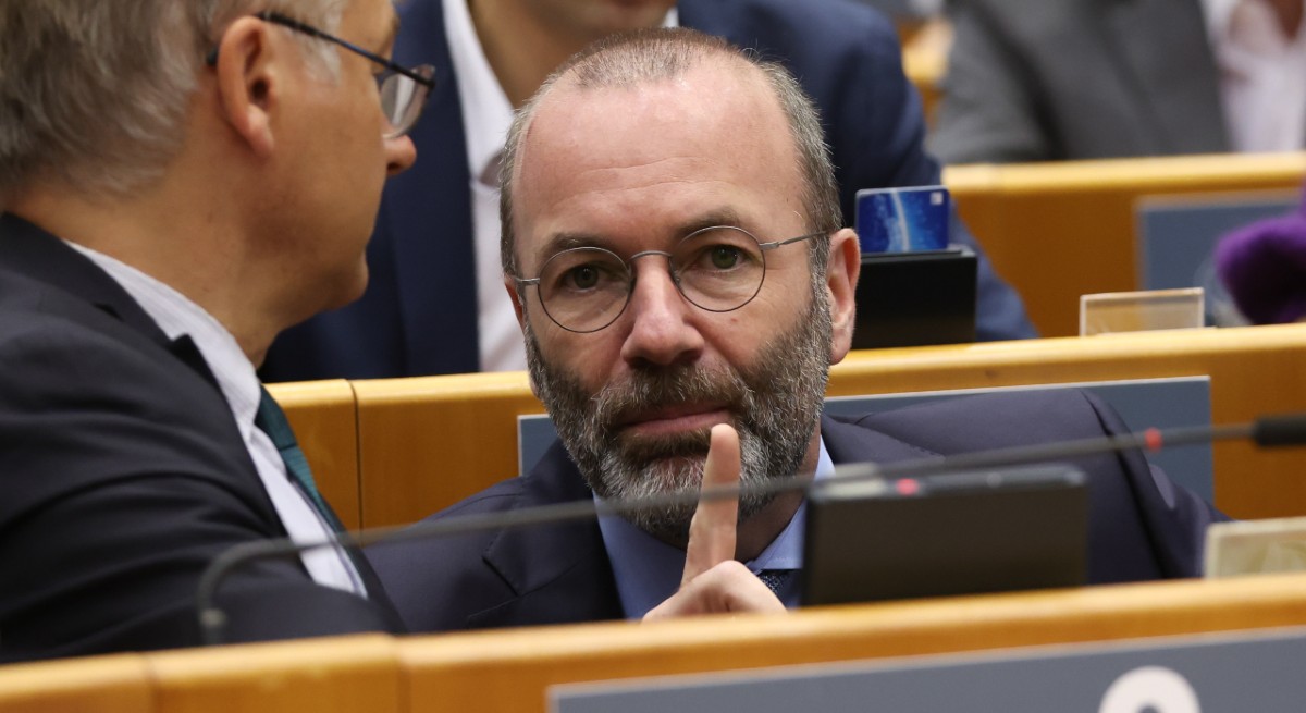 manfred weber