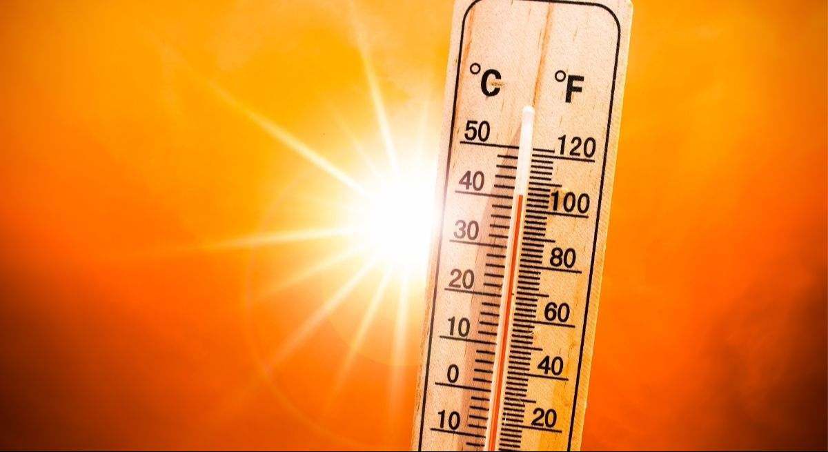 calor-canva