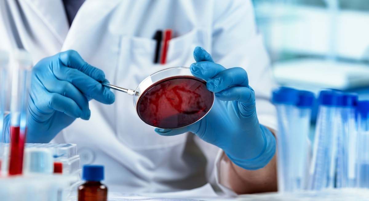 iStock-investigacion-ciencia.jpg