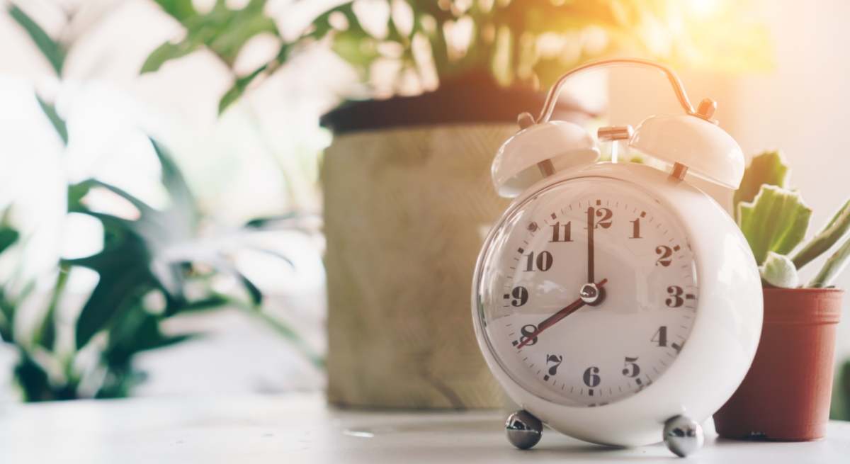 reloj-alamy.jpg