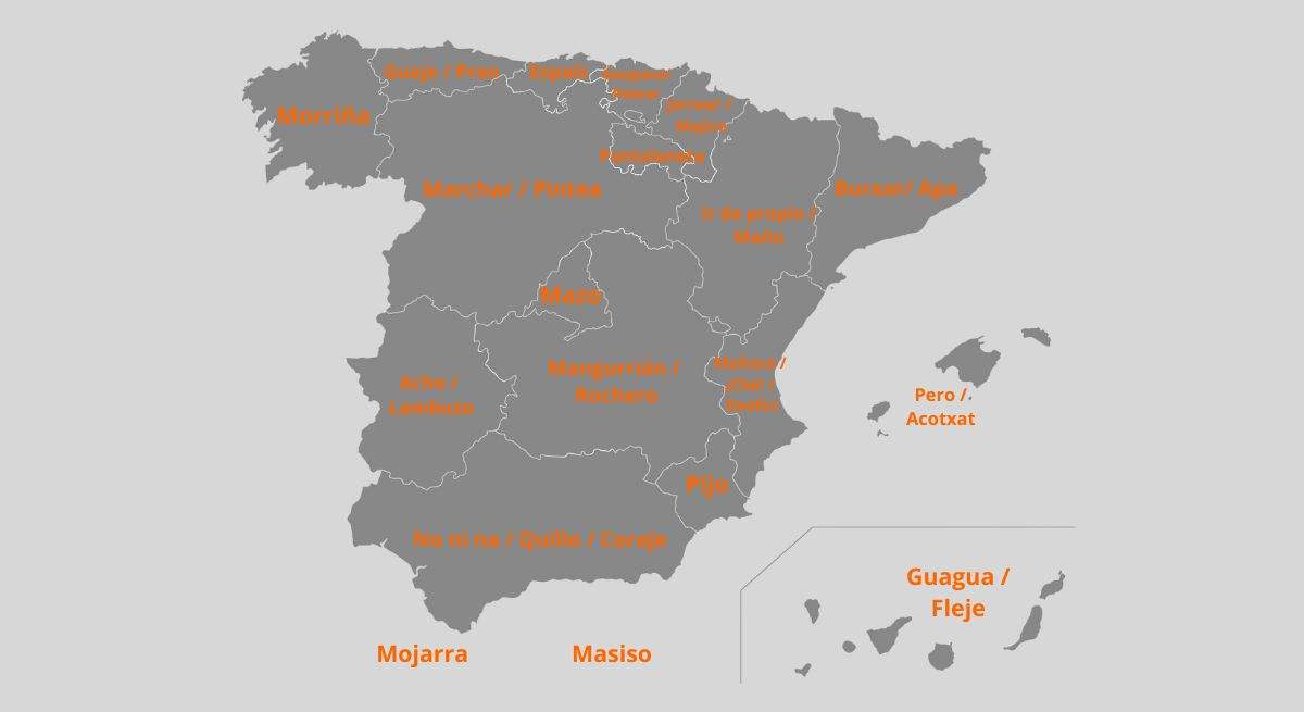mapa-palabras-por-ccaa-canva.jpg