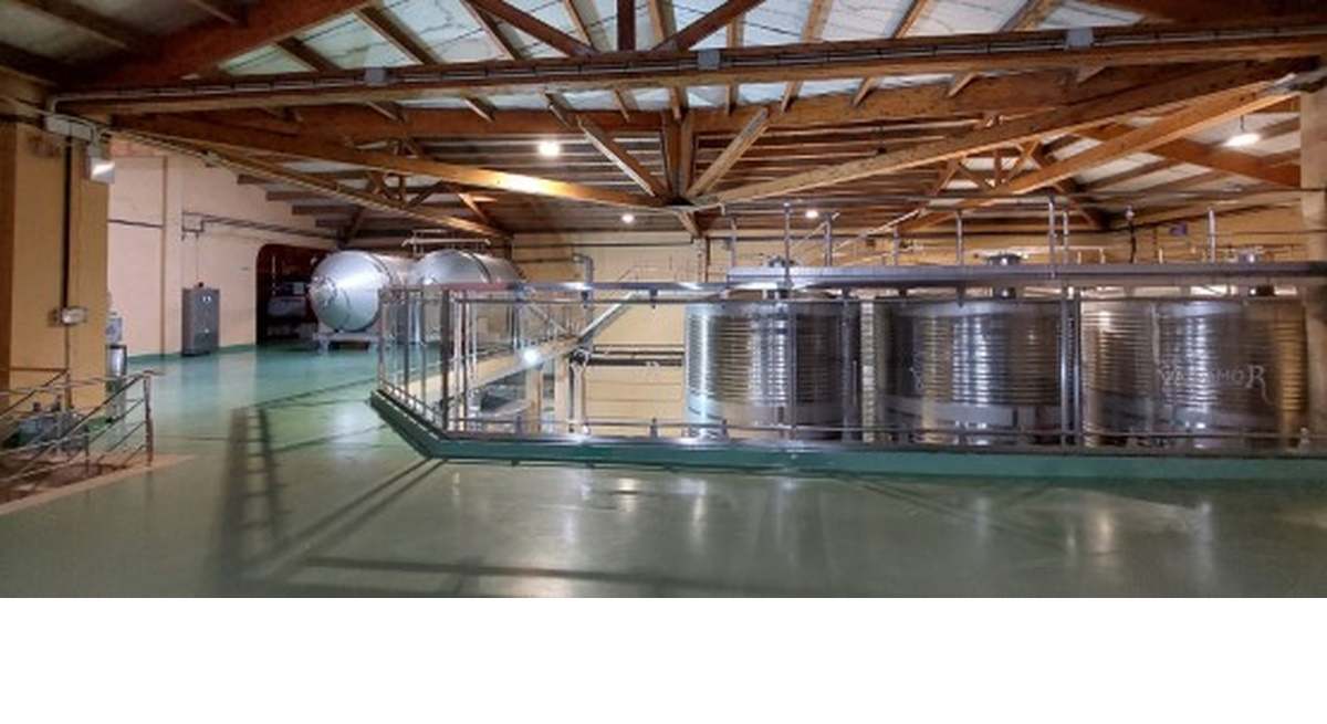 BODEGA TORRE PENELA