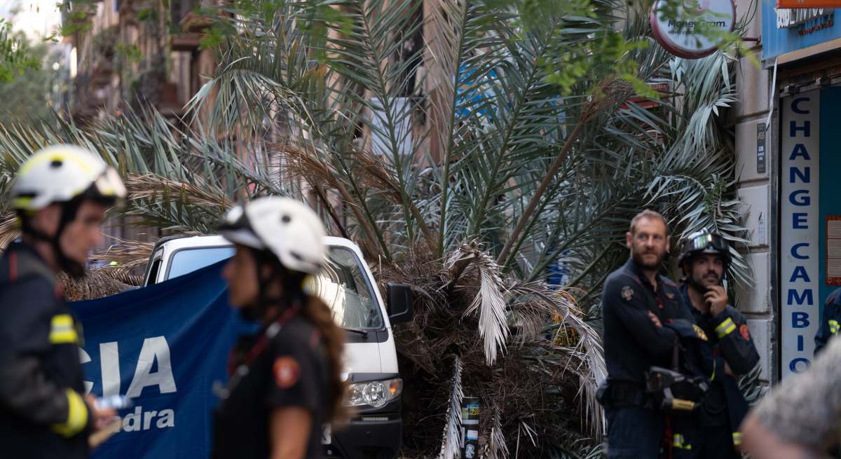 palmera-accidente-raval-ep.jpg