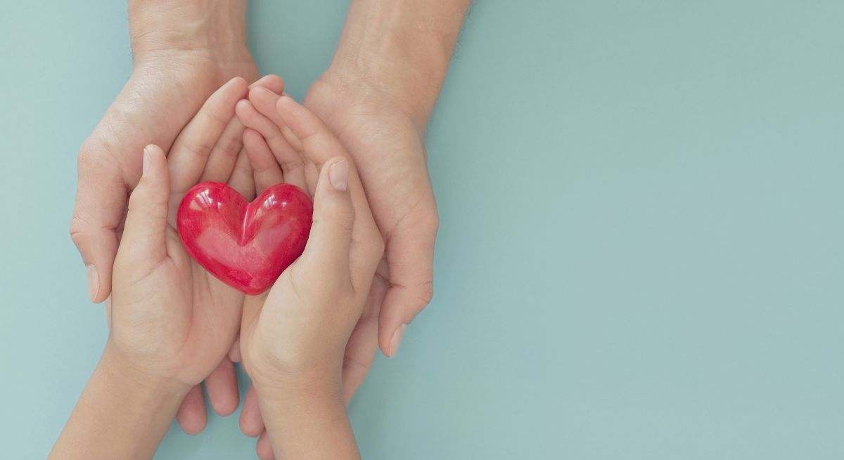 El corazón es el principal órgano del aparato circulatorio humano