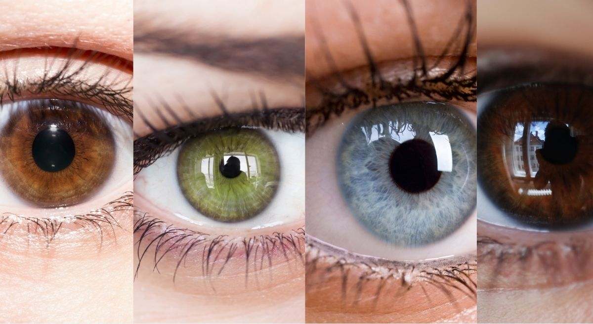 Ojos de diferentes colores