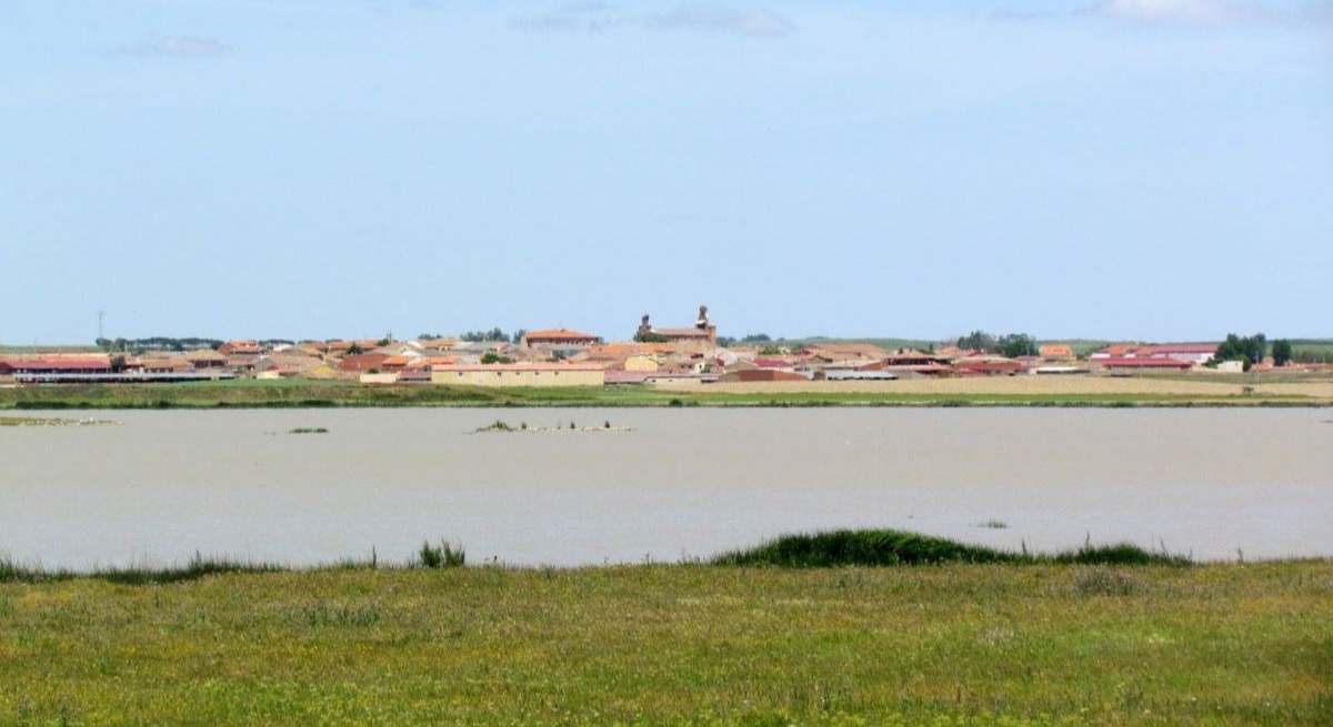 Lagunas de Villafáfila