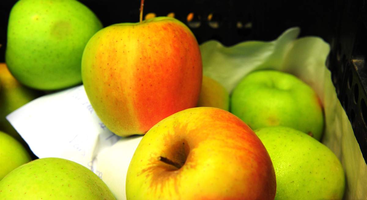 fruta
