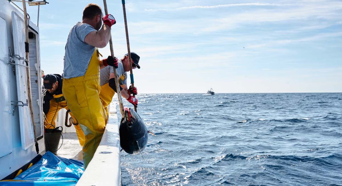 atun-rojo-portada-santander.jpg