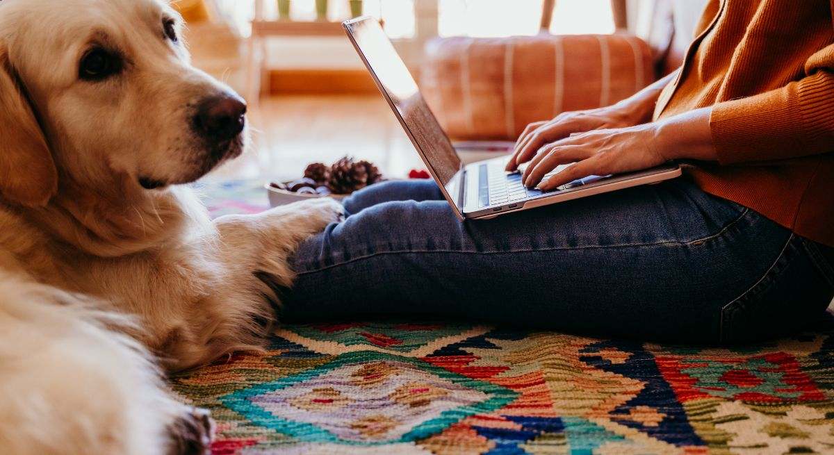 perro-dueno-ordenador-istock.jpg