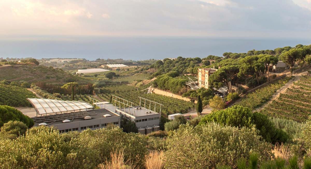 Alta-Alella-Finca-celler-i-vinya.jpg