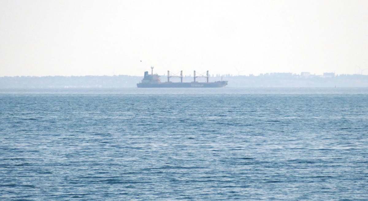 exportacion-grano.jpg