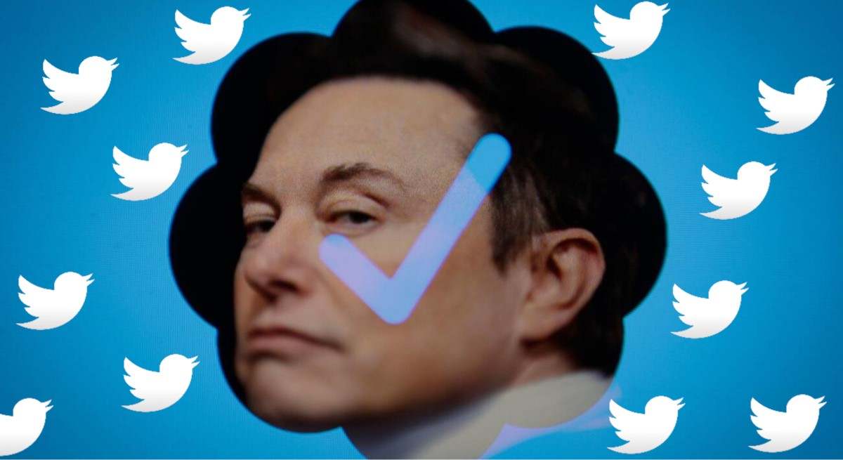 musk-verificado.jpg