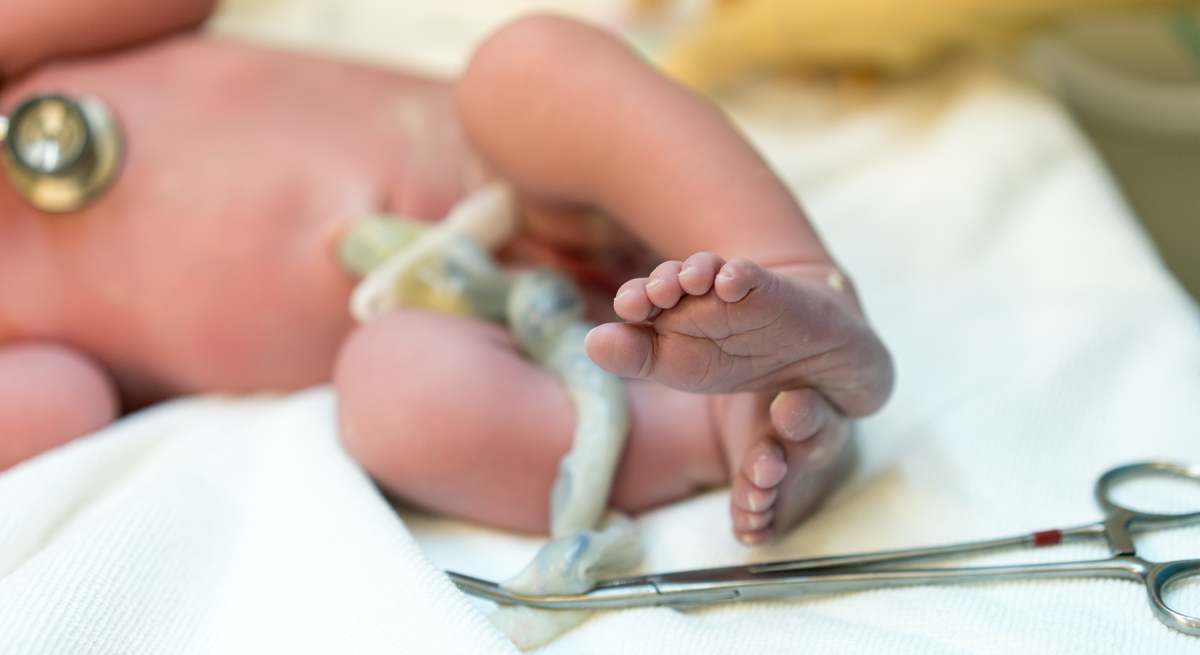 iStock-524375536_web.jpg