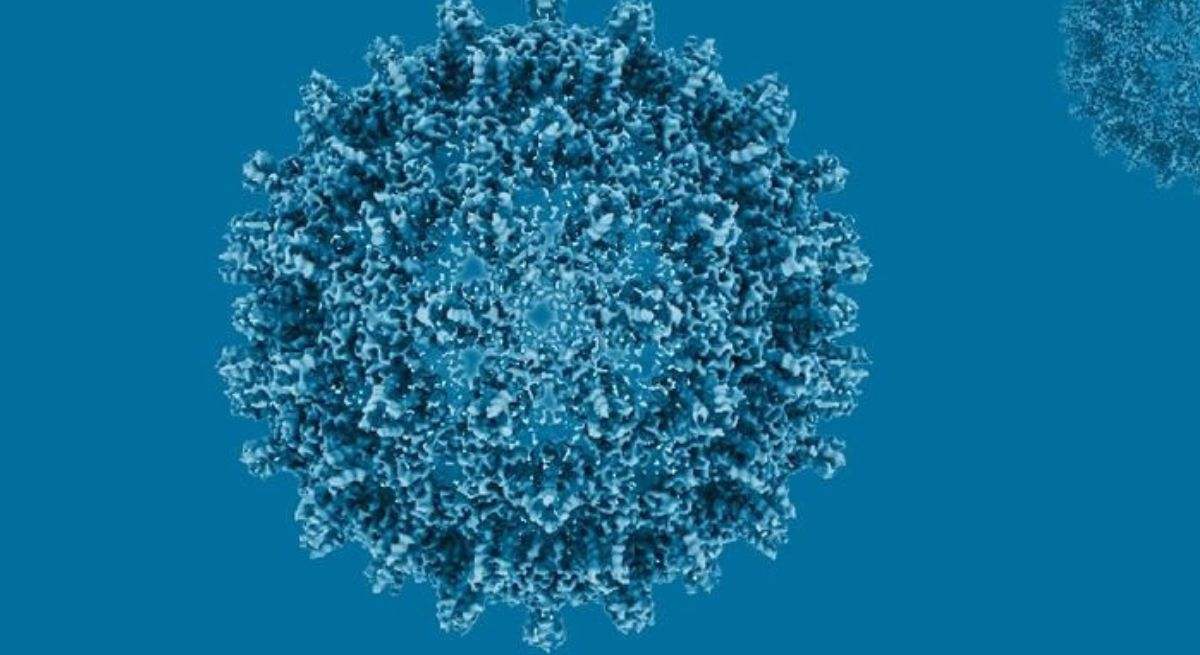 Hepatitis C