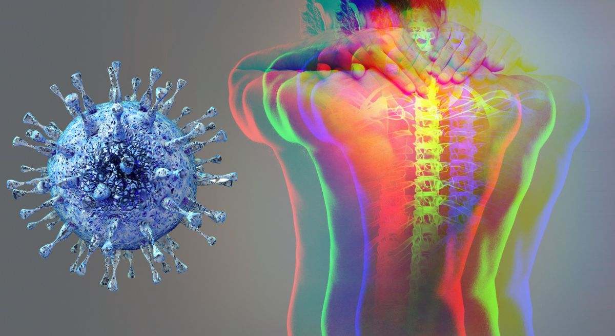 Dolores crónicos ligados a bacteria intestinal