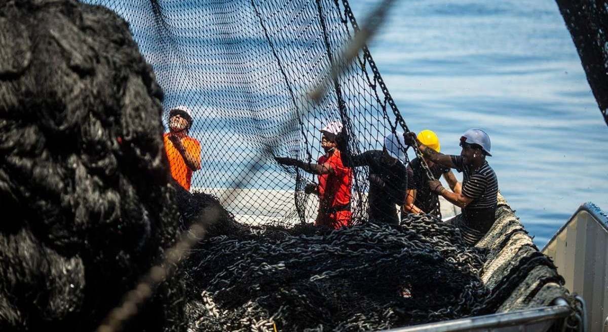 Pescadores trabajando con redes.