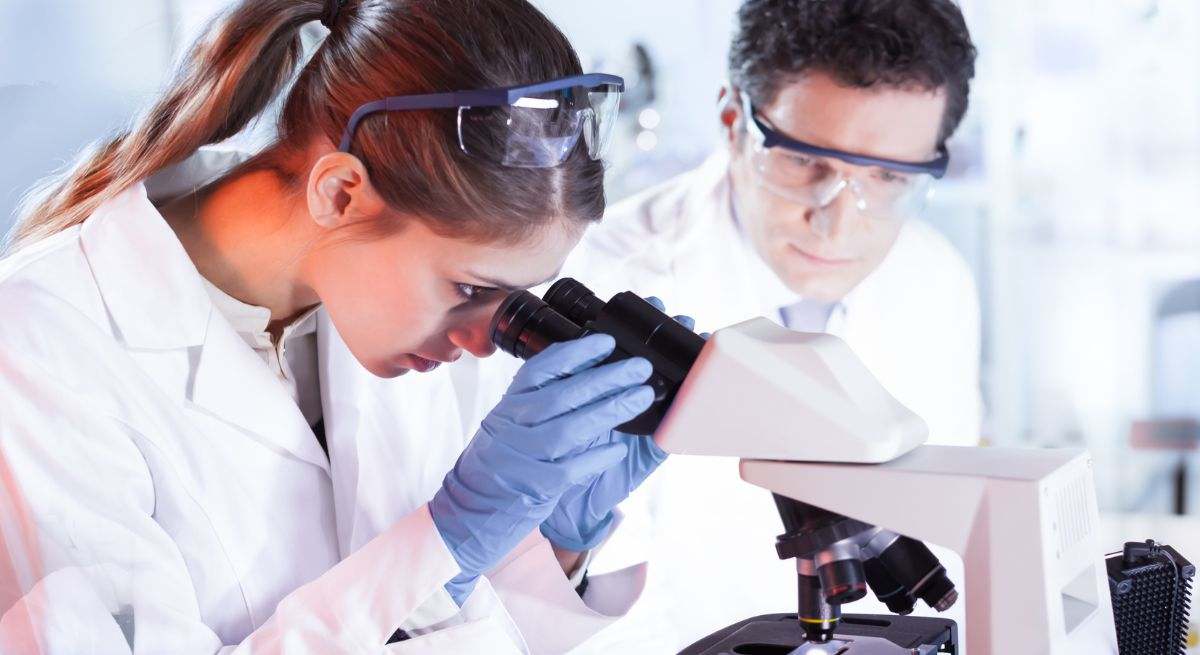 Investigación exhaustiva