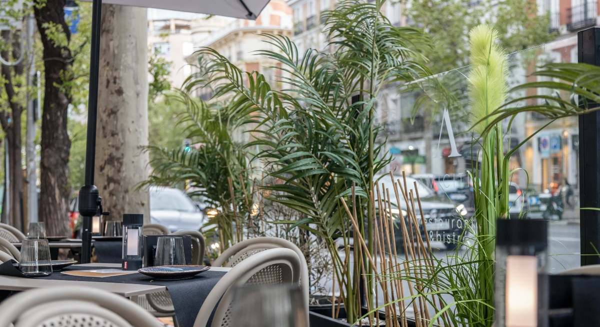 Terraza-Amicitia-1-1.jpg