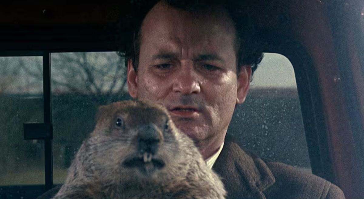 La intrahistoria de cómo Bill Murray fue mordido dos veces por una marmota "salvaje": "¿Quién diablos entrenó a esta tuza?"