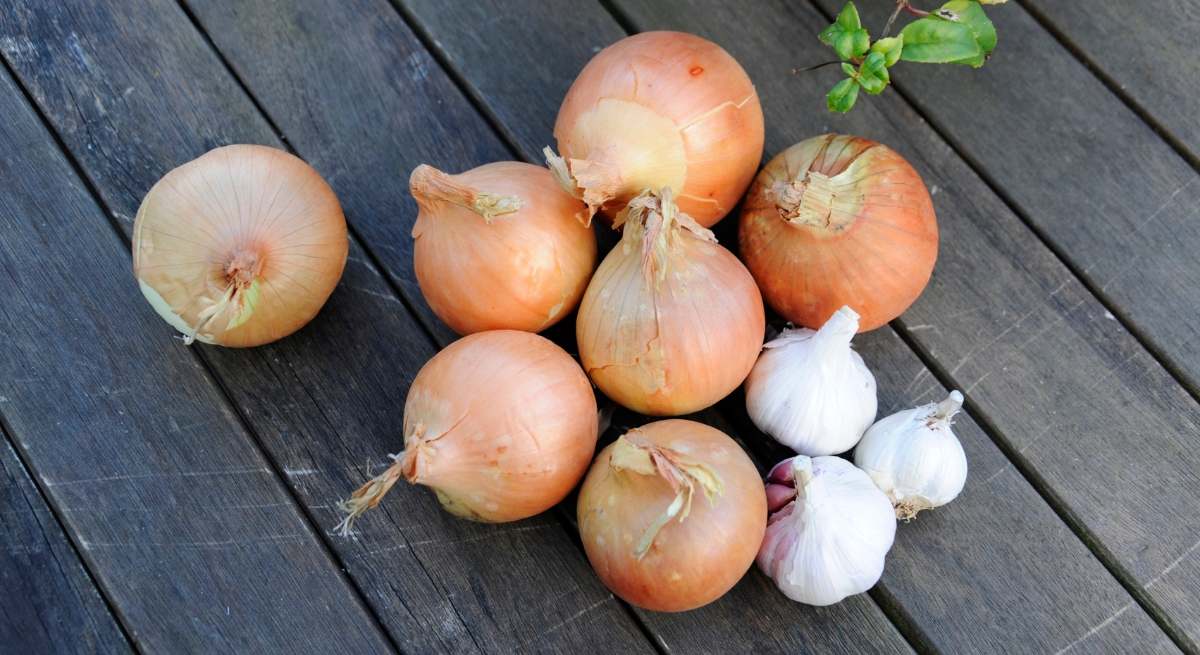 Truco de los cocineros para dar una segunda vida a la piel del ajo y la cebolla.
