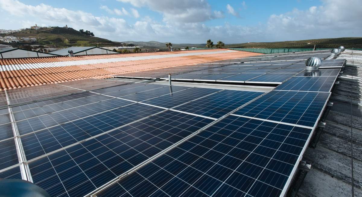 paneles-solares-andalucia-ep.jpg