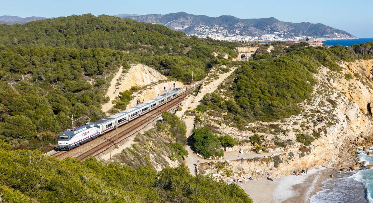 renfe-perros-40kg-istock.jpg