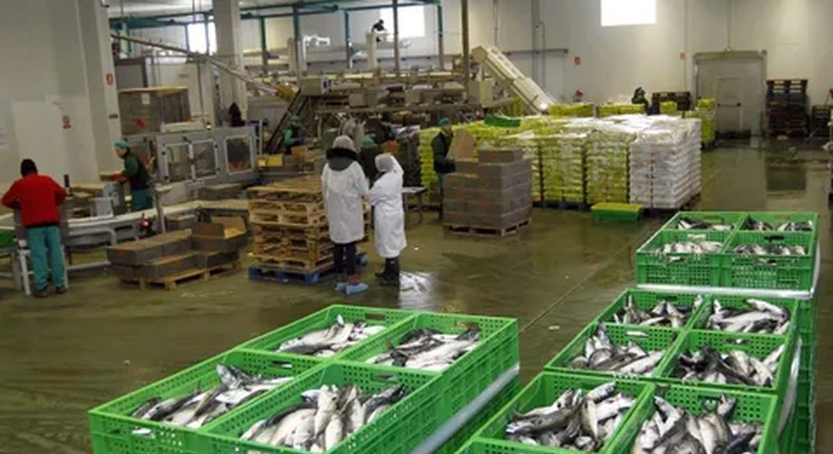 Instalaciones de Pescados Rubén en Foz (Lugo).